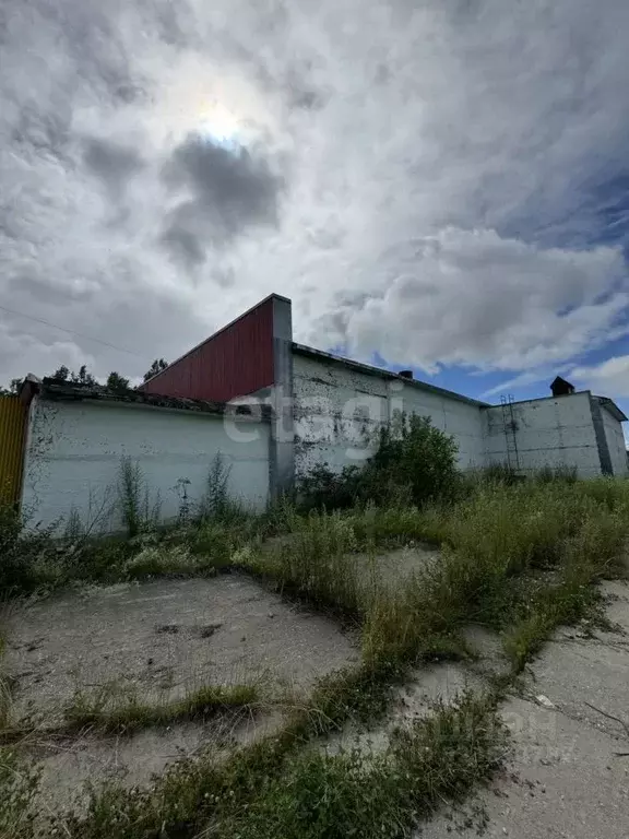 Склад в Сахалинская область, Южно-Сахалинск Украинская ул., 72 (1035 ... - Фото 1