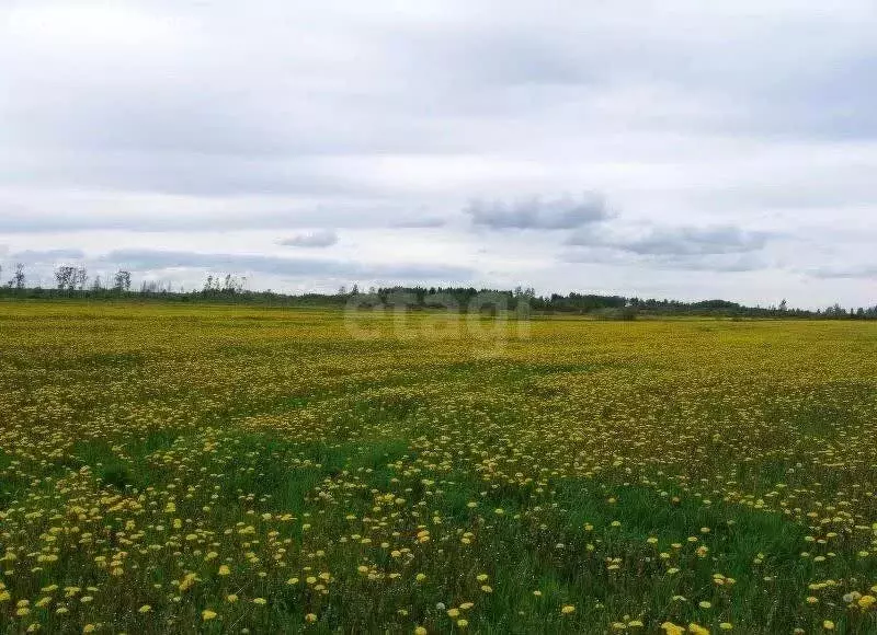 Участок в посёлок Северный, Новая улица (1083 м) - Фото 1