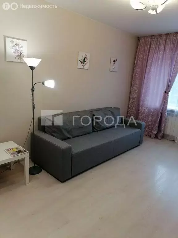 1-комнатная квартира: Новосибирск, Советская улица, 58 (30 м) - Фото 1