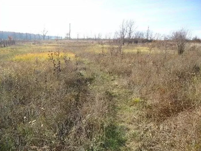 участок в краснодарский край, абинский район, ахтырское городское . - Фото 0