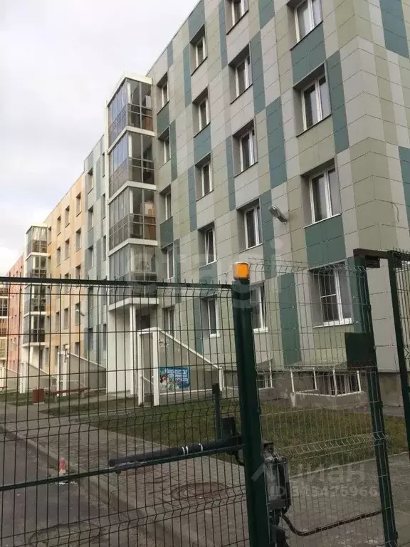 Студия Ленинградская область, Всеволожский район, пос. Бугры Новая ... - Фото 1