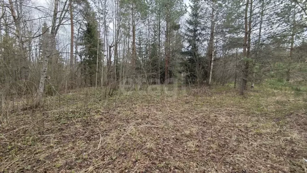 Участок в Ленинградская область, Киришский район, Будогощское ... - Фото 2