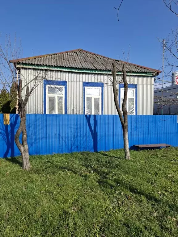 Дом в Краснодарский край, Белореченск ул. Победы (75 м) - Фото 2