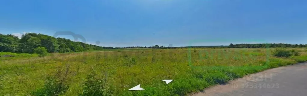 Участок в Калининградская область, Зеленоградский муниципальный округ, ... - Фото 2