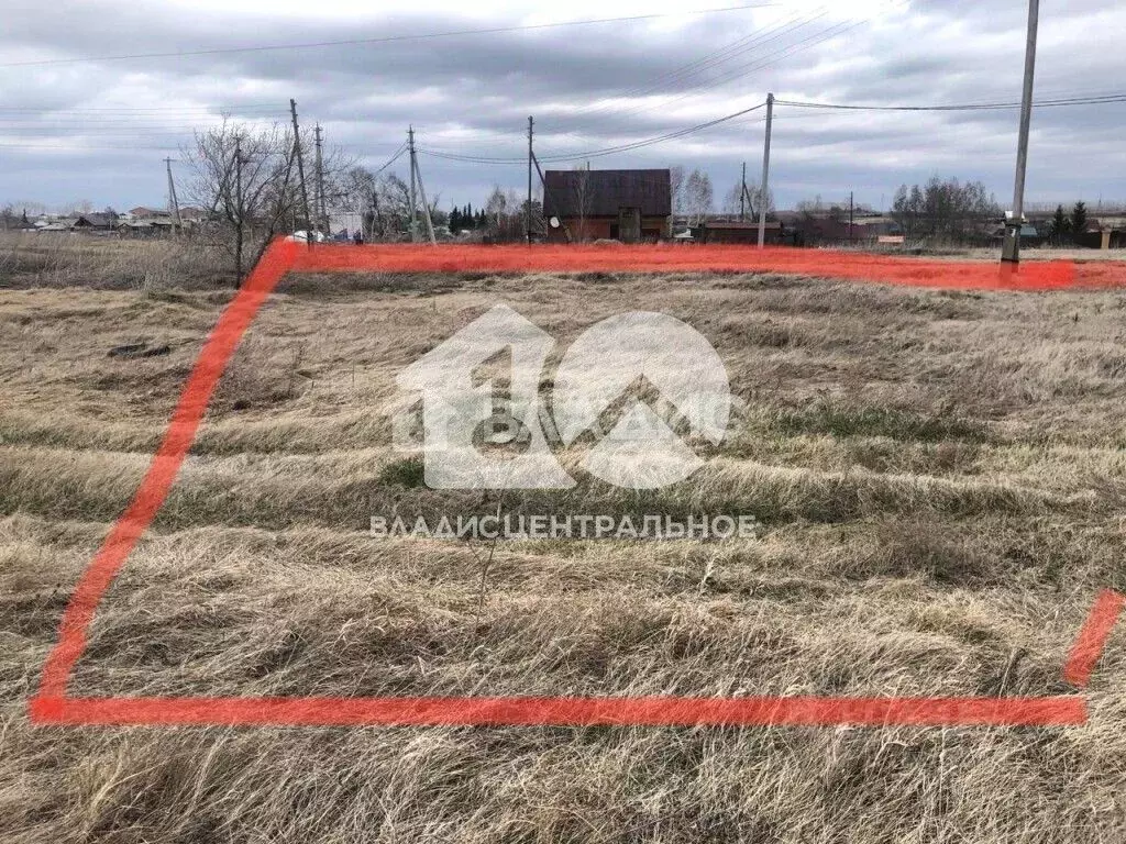 Участок в Новосибирская область, Ордынский район, с. Верх-Ирмень ... - Фото 1