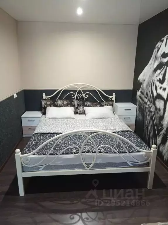 1-к кв. Новгородская область, Боровичи ул. Декабристов, 57 (40.0 м) - Фото 1