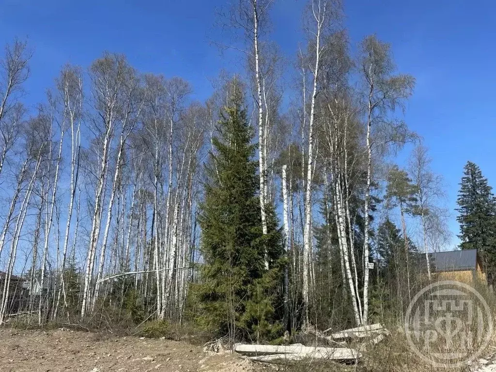 Участок в Ленинградская область, Всеволожский район, Сертоловское ... - Фото 2