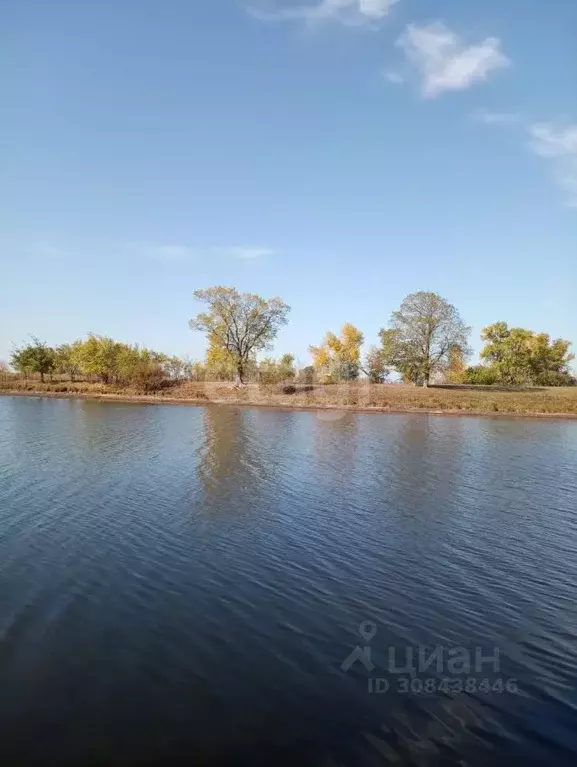 Участок в Саратовская область, Энгельсский район, Красноярское ... - Фото 0