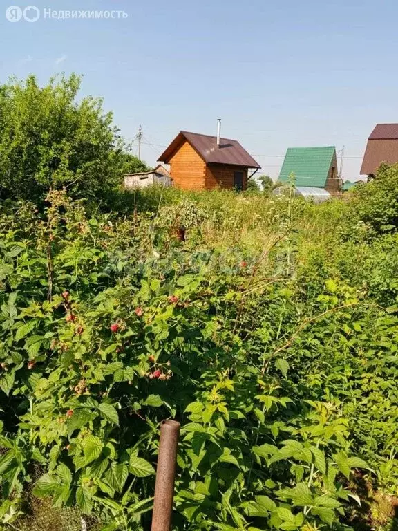 Участок в Томск, СНТ Коммунальщик, улица Коммунальщиков (3.3 м) - Фото 1