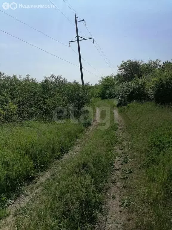 Участок в Минеральные Воды, садовые участки Дружба-2 (3 м) - Фото 1