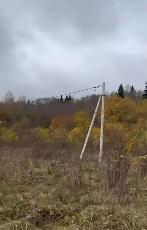Участок в Новгородская область, Маловишерский район, Бургинское с/пос, ... - Фото 2