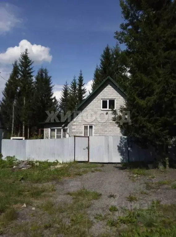 Дом в Новосибирская область, Новосибирск Хороводная ул. (67 м) - Фото 0