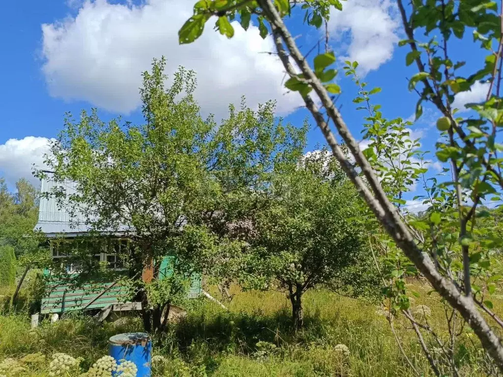 Участок в Смоленская область, Гагаринский муниципальный округ, Сетунь ... - Фото 1