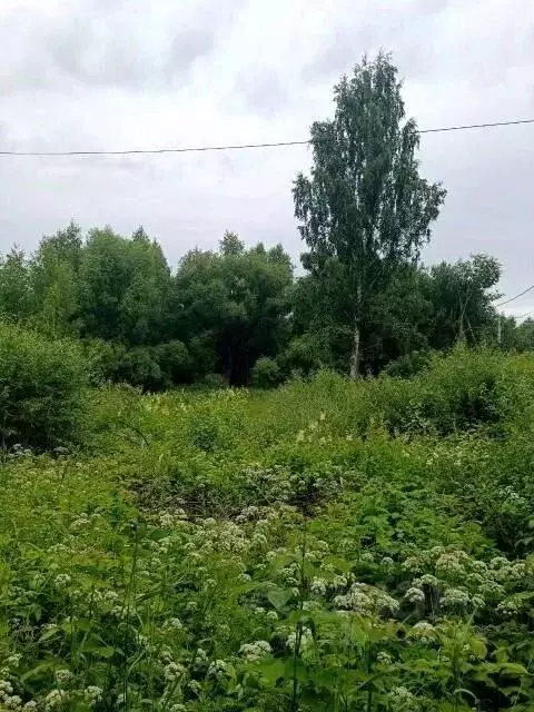 Участок в Калужская область, Калуга городской округ, д. Желыбино ул. ... - Фото 2