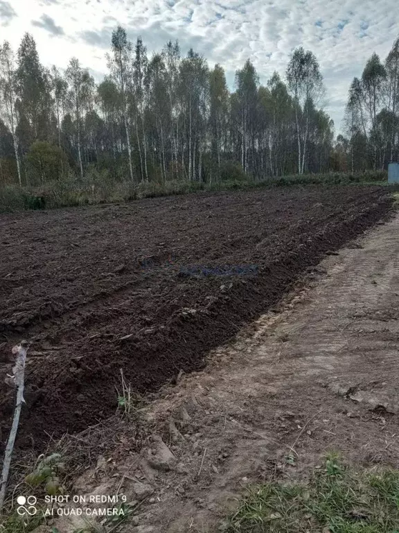 Участок в Нижегородская область, Богородский муниципальный округ, д. ... - Фото 2