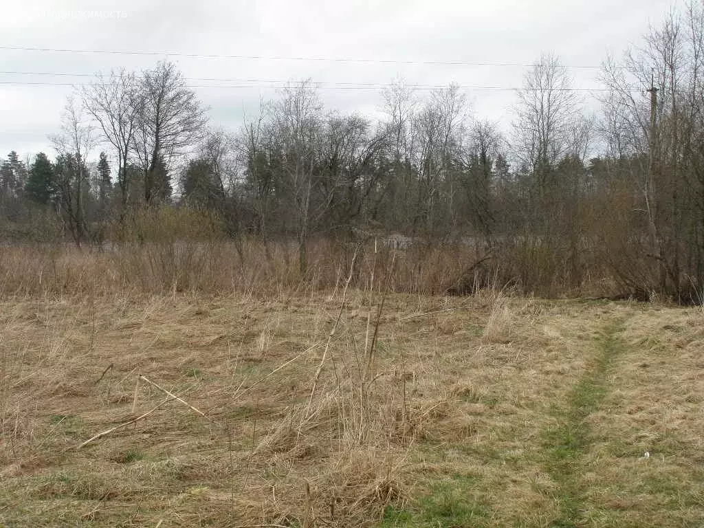 Участок в Ивангород, Надеждинская улица, 13 (10 м) - Фото 2