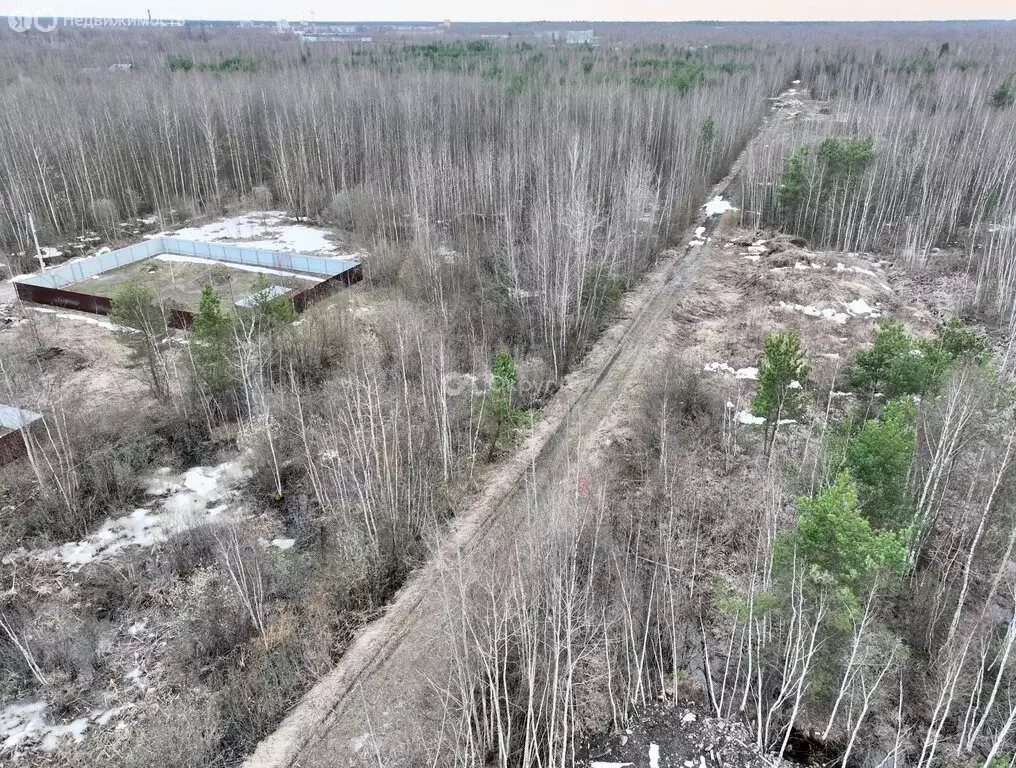 Участок в Богородский городской округ, СНТ Ясень, 117 (6 м) - Фото 2