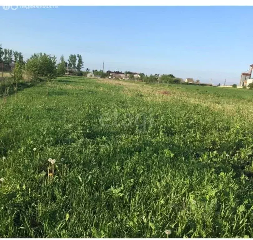 Участок в Липецкая область, Грязинский муниципальный округ, село ... - Фото 2