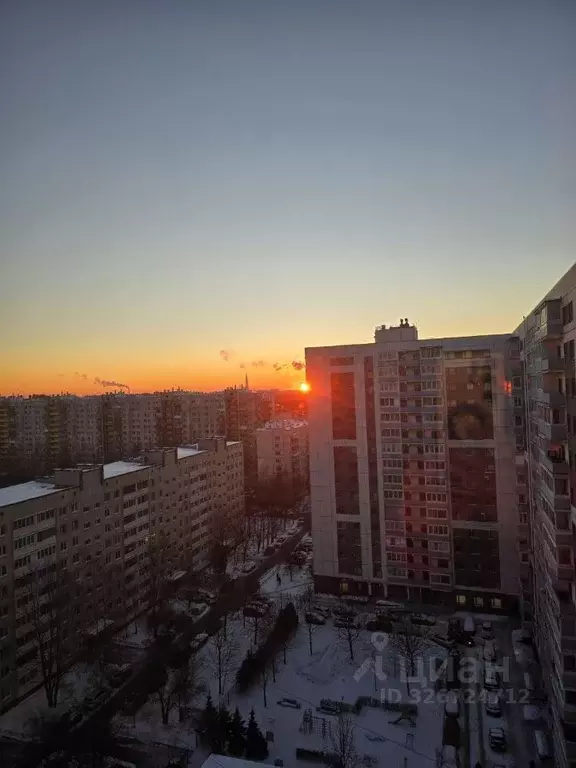 1-к кв. Санкт-Петербург ул. Асафьева, 5к1 (40.0 м) - Фото 2