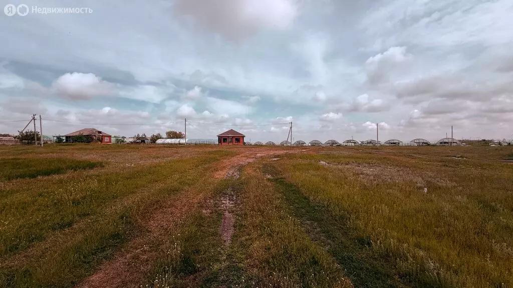 Участок в станица Багаевская, Пушкинская улица, 204 (15 м) - Фото 2