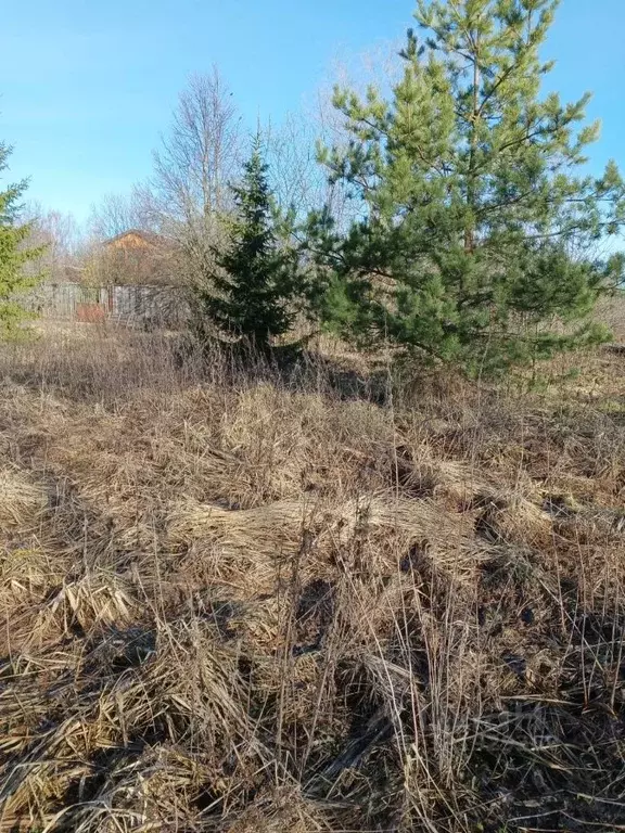 Участок в Тульская область, Щекинский район, Яснополянское с/пос, д. ... - Фото 2