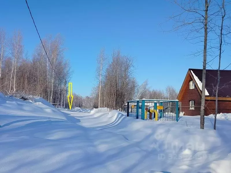 Участок в Новосибирская область, Новосибирский район, Станционный ... - Фото 1