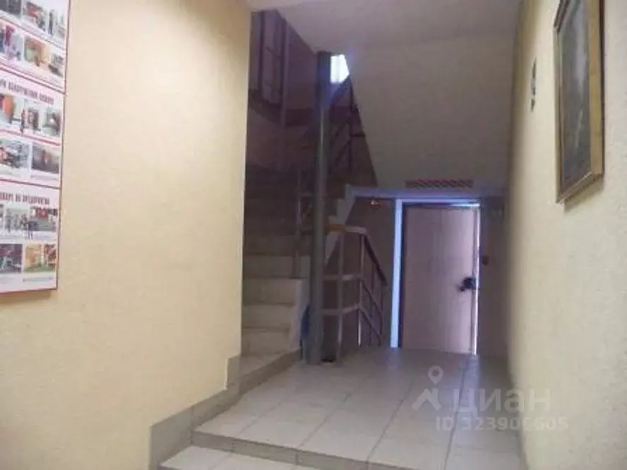 Офис в Челябинская область, с. Еткуль ул. Новая, 39 (297 м) - Фото 2