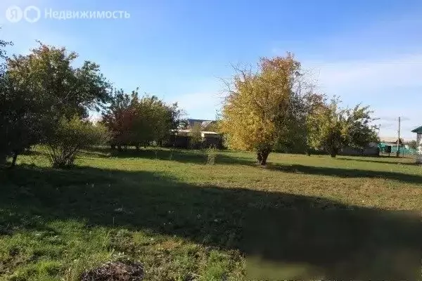 Участок в Ульяновская область, рабочий посёлок Старая Майна, улица ... - Фото 1