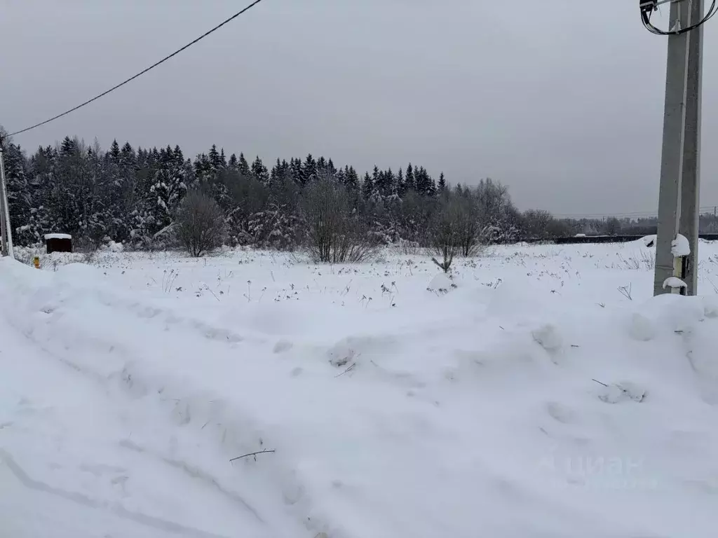 Участок в Владимирская область, Струнино г. Александровский ... - Фото 1