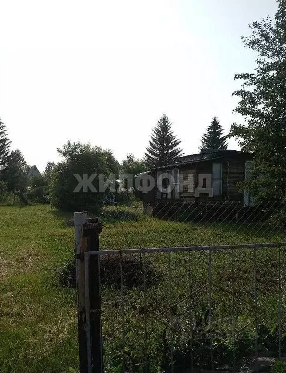 Дом в Новосибирская область, Коченевский район, Ветеран-1 ДНТ 692 (15 ... - Фото 0