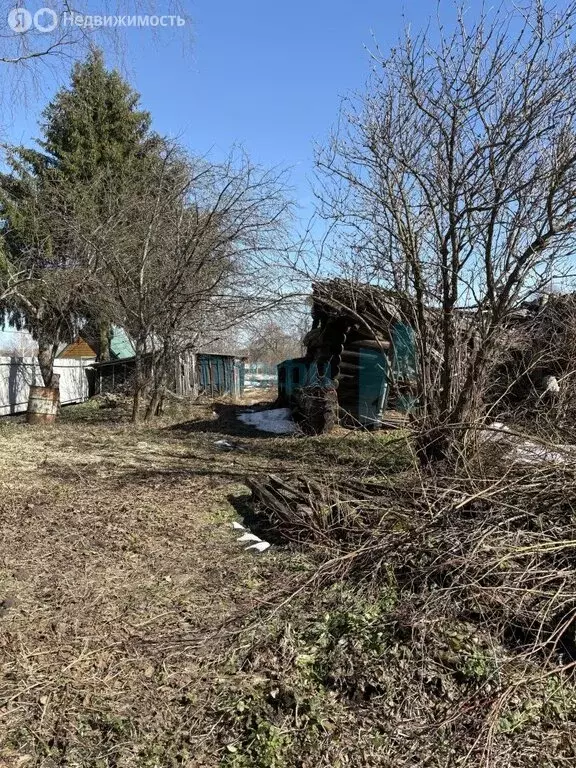 Участок в Нижегородская область, муниципальный округ Бор, деревня ... - Фото 2