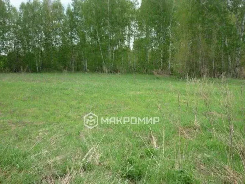 Участок в Челябинская область, Красноармейский район, Озерное с/пос, ... - Фото 1