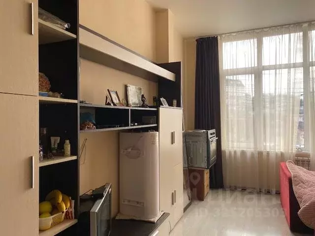 Студия Краснодарский край, Сочи Транспортная ул., 76/12 (24.2 м) - Фото 2