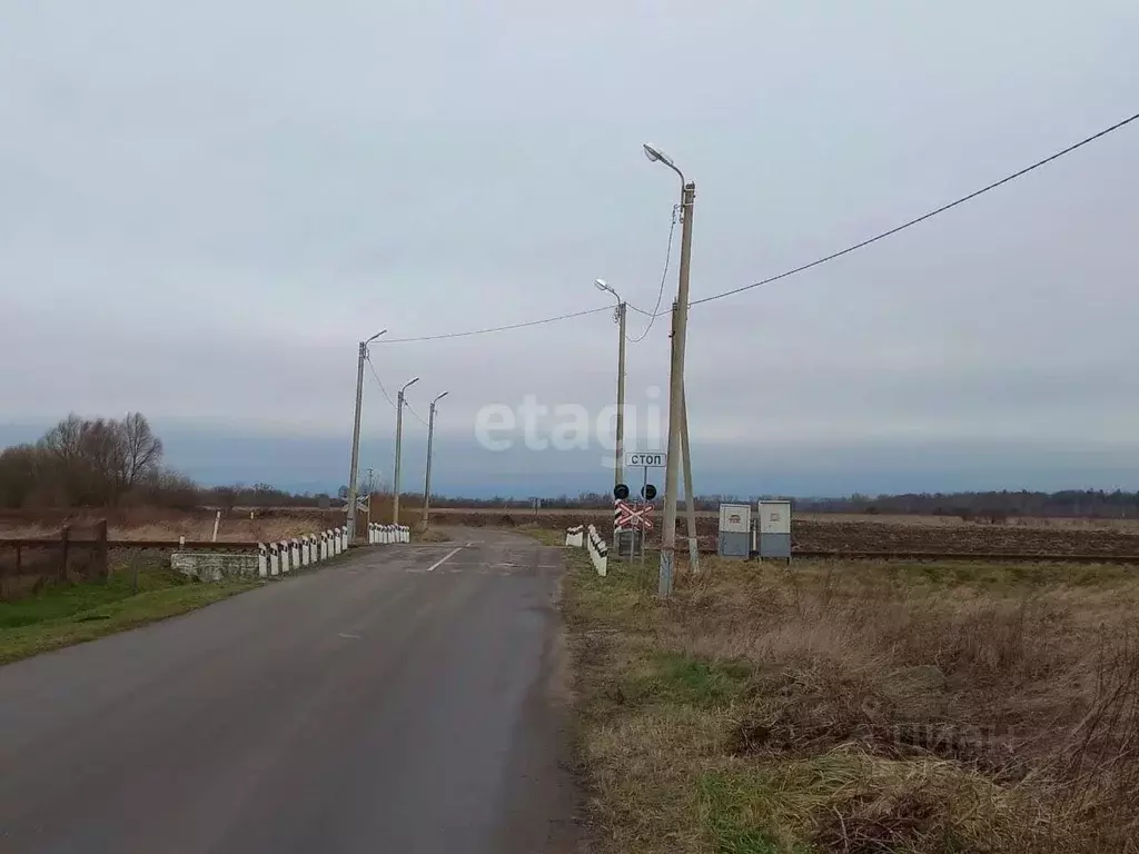 Участок в Калининградская область, Полесский муниципальный округ, пос. ... - Фото 1