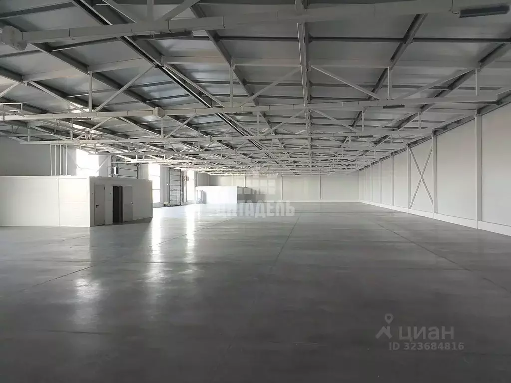 Производственное помещение в Воронежская область, Новоусманский район, ... - Фото 1