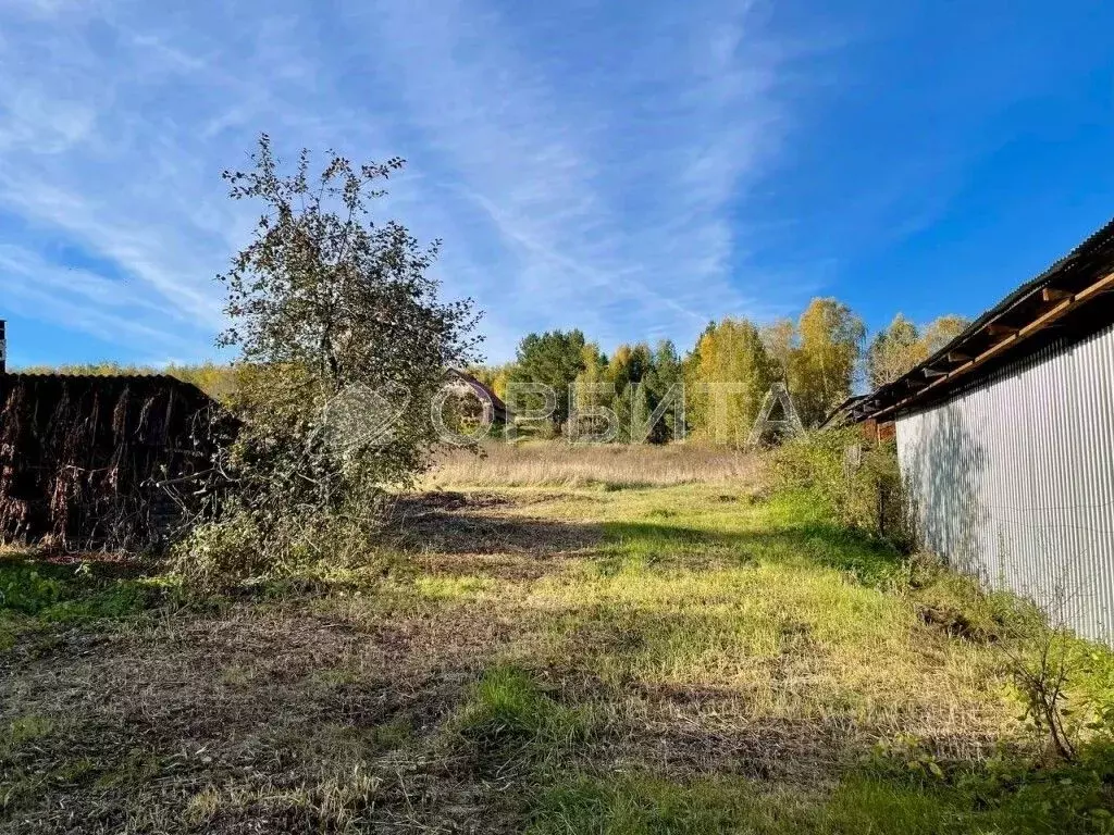 Участок в Тюменская область, Тюменский муниципальный округ, с. Кулига  ... - Фото 1