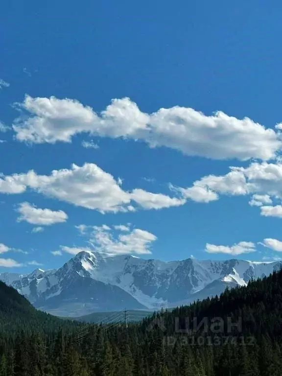 Комната Алтай, Чемальский район, с. Турбаза Катунь  (10.0 м) - Фото 1