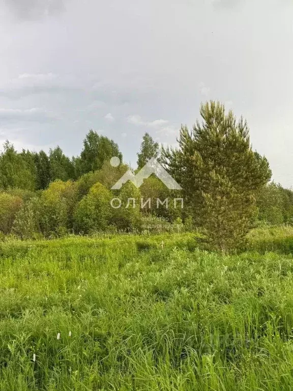 Участок в Вологодская область, д. Новое (Борисовский сельсовет)  (30.0 ... - Фото 2