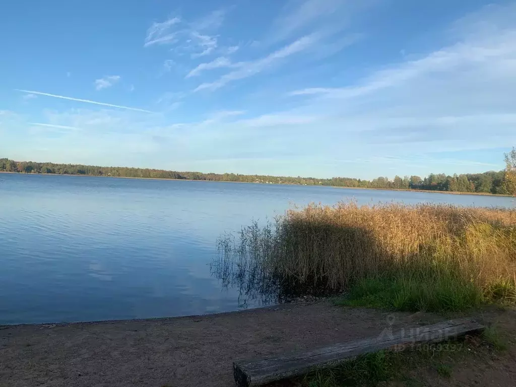 Помещение свободного назначения в Новгородская область, Демянский ... - Фото 1