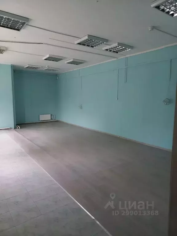 Торговая площадь в Ленинградская область, Светогорск Выборгский район, ... - Фото 2