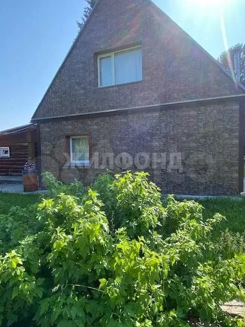 Дом 30 м на участке 3,55 га - Фото 1