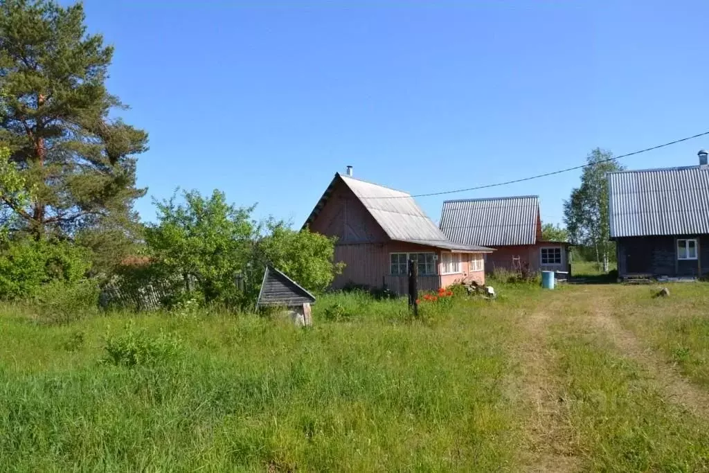 Дом в Тверская область, Осташковский городской округ, д. Белкино  (50 ... - Фото 1