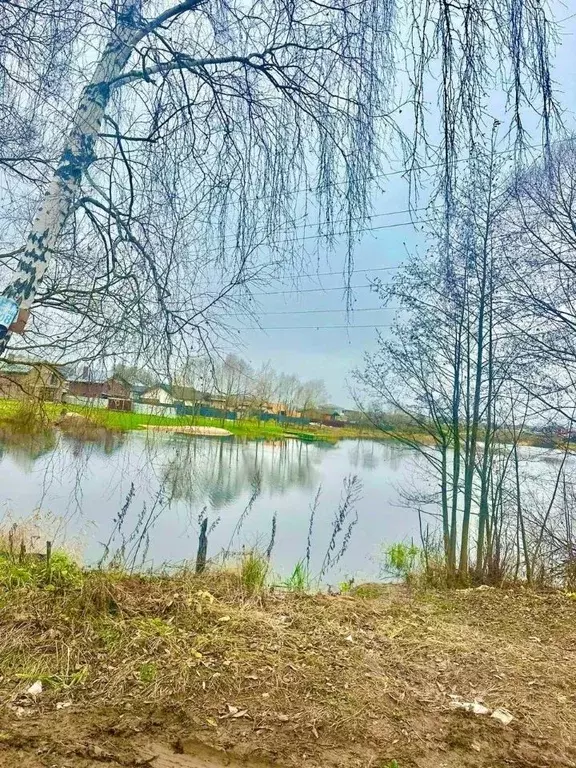 Участок в Московская область, Домодедово городской округ, д. Минаево, ... - Фото 1