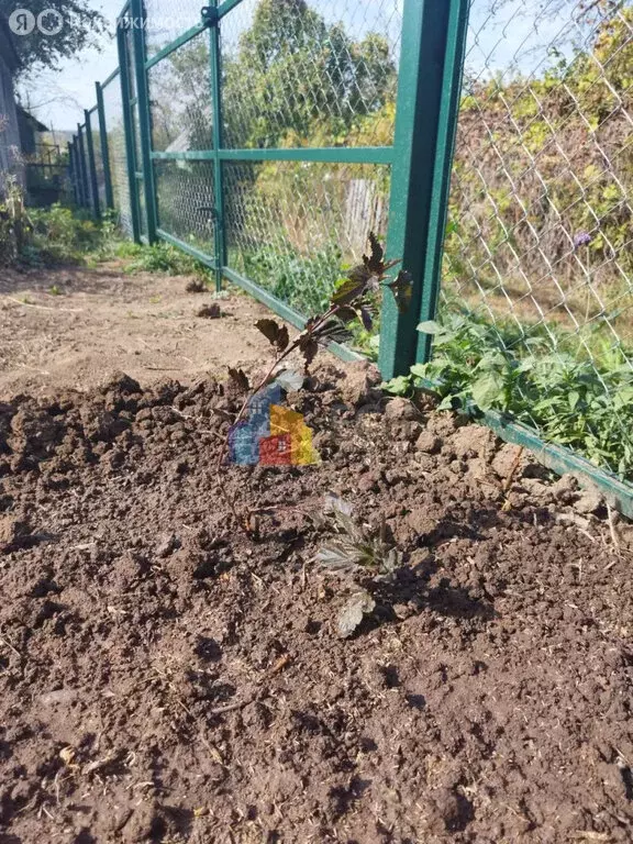 Участок в Тула, СНТ Строитель ПСО Тулгорстрой (6.3 м) - Фото 2