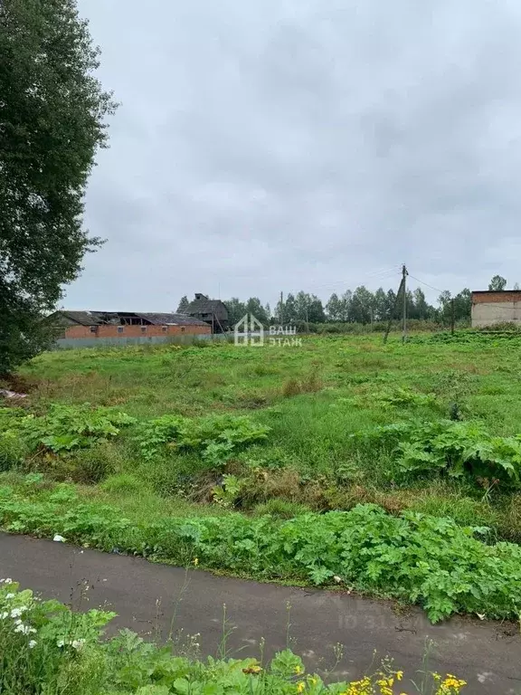 Участок в Калужская область, Износковский район А-130, 174-й км (62.78 ... - Фото 2