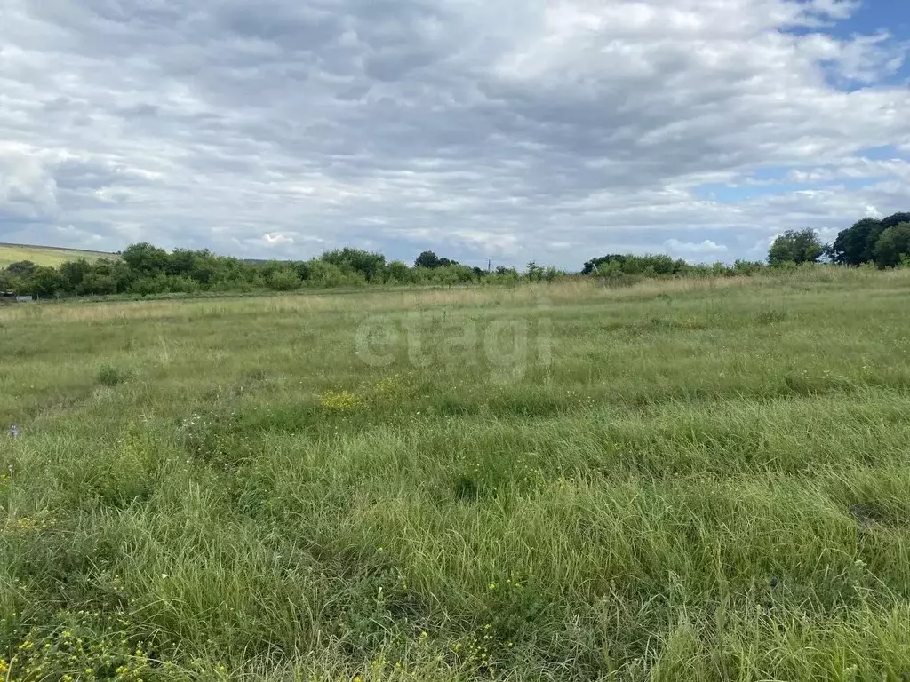 Участок в Белгородская область, Губкинский городской округ, с. Осколец ... - Фото 1