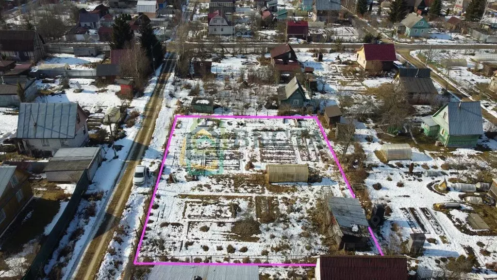 Участок в Ленинградская область, Лужский район, Мшинское с/пос, ... - Фото 1