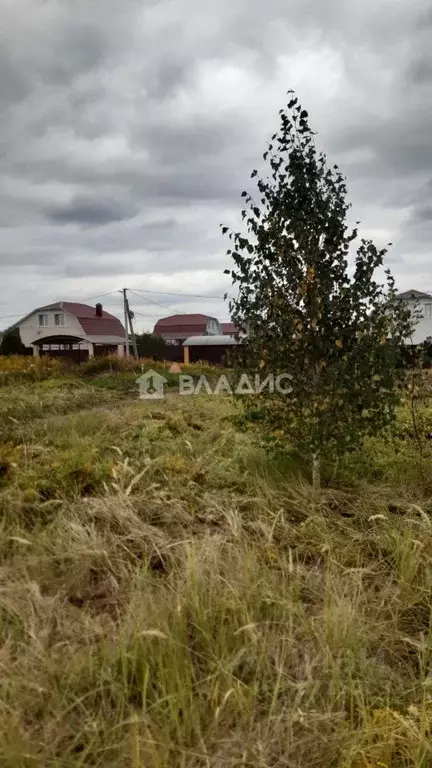 Участок в Пензенская область, Бессоновский район, с. Чемодановка ул. ... - Фото 1