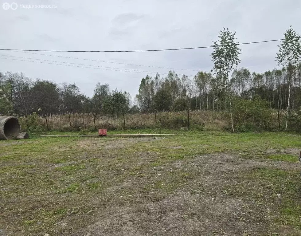 Участок в Валдайский район, Яжелбицкое сельское поселение, село ... - Фото 0