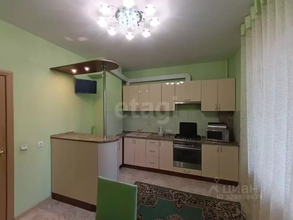1-к кв. Псковская область, Псковский муниципальный округ, д. Родина ... - Фото 1